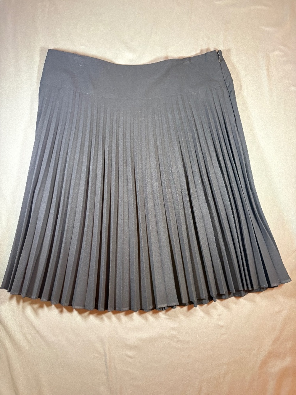 Women Black Skirt with Accordion Pleats / size 12
